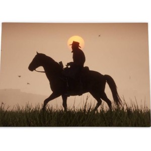 خرید  تخته شاسی RED DEAD