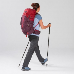 کوله پشتی Forclaz trek100 50L