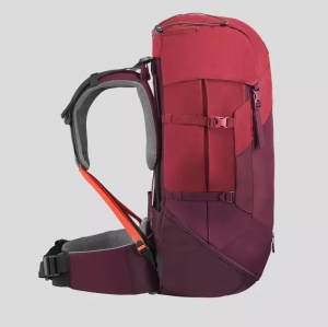 کوله پشتی Forclaz trek100 50L