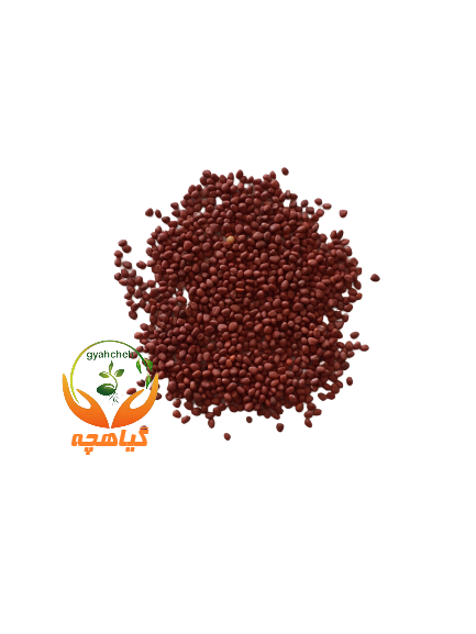 بذر تربچه نقلی