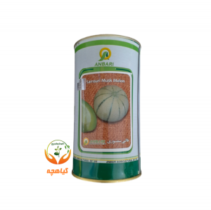 بذر طالبی سمسوری عنبری | Samsuri Musk Melon ANBARI