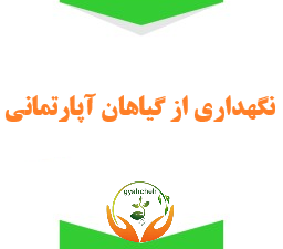 اهمیت استفاده از کود برای گیاهان آپارتمانی