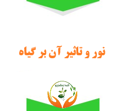 نور و تاثیر آن بر گیاهان