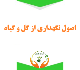 اصول نگهداری از گل و گیاه