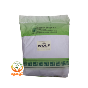 بذر نخود فرنگی ولف هلندی | wolf