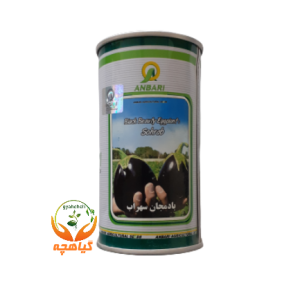بذر بادمجان دلمه سهراب عنبری | ANBARI