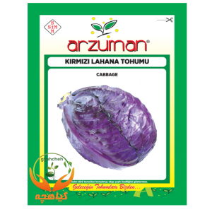 بذر کلم بنفش آرزومان ترکیه | Arzuman