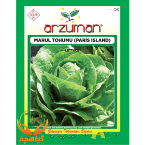 بذر کاهو گلی آرزومان | Arzuman