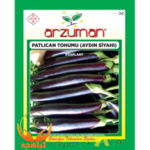 بذر بادمجان آیدین سیاهی آرزومان | Arzuman