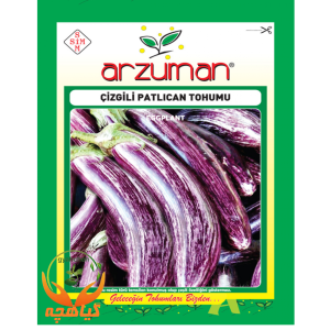 بذر بادمجان دو رنگ آرزومان | Arzuman
