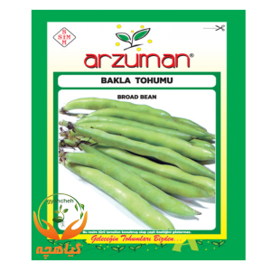 بذر باقلا آرزومان | Arzuman