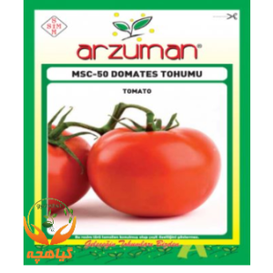 بذر گوجه فرنگی درشت بیف ترک آرزومان | Arzuman