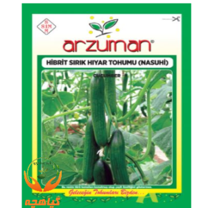 بذر خیار گلخانه ای آرزومان | Arzuman