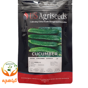 بذر خیار رایدر یو اس اگری سیدز |  US Agri seeds