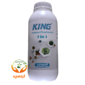 کود مایع فسفیت پتاسیم 80% کینگ ایکس گرین | King X-Green