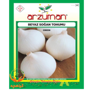 بذر پیاز سفید آرزومان | Arzuman