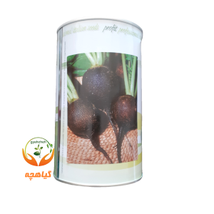 بذر ترب سیاه گرد ایتالیایی |  Profit seeds