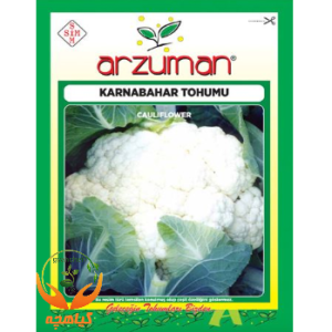بذر گل کلم آرزومان | Arzuman