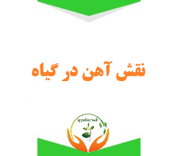 اثر آهن در گیاهان و علت استفاده از کود آهن (مطلب)
