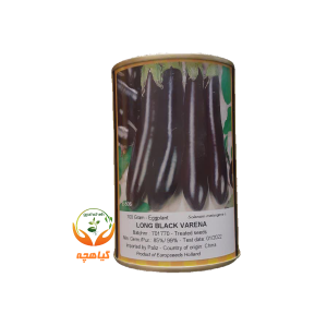 بذر بادمجان لانگ بلک وارنا پروسید | Long Black Varena