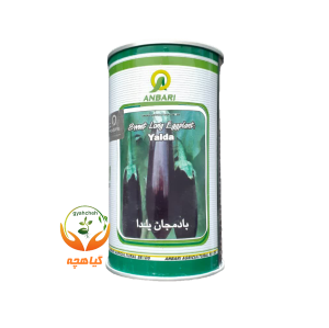بذر بادمجان یلدا عنبری 100 گرمی | Yalda Anbari