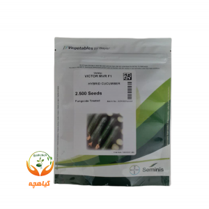 بذر خیار هیبرید ویکتور سمینیس | VICTOR MVR F1  Seminis