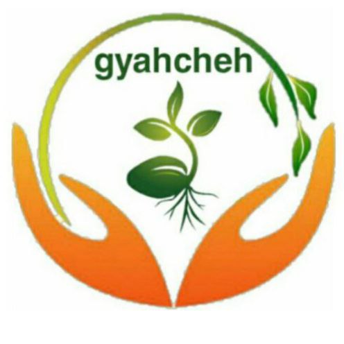 طراحی فروشگاه نهاده های کشاورزی گیاهچه