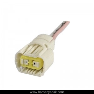 سوکت 2 فیش پروژکتور پژو 207 برند +BBZ