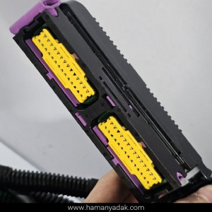 دسته سیم موتور دو گانه SLC پژو 405 و پارس (کد YG20239993) برند دناکو