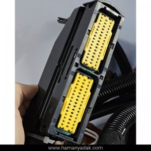 دسته سیم موتور دوگانه زیمنس بایفیول پژو 405 و پارس و سمند (کد YG20241768) برند دناکو