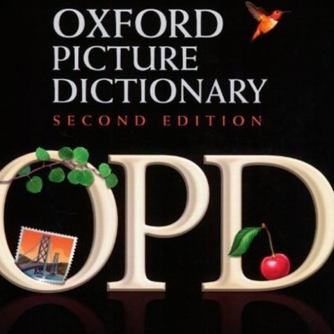 کتاب دیکشنری روسی انگلیسی آکسفورد Oxford Picture Dictionary English Russian