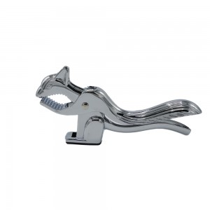 سنجاب گردوشکن Squirrel nutcracker