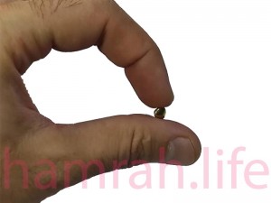پرچ زیرورو یک رو کف 6 پایه 7 میلی متر طلایی