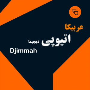 دانه قهوه عربیکا اتیوپی دیجیما