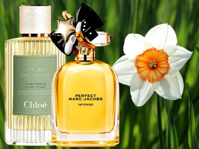 معرفی بهترین عطرهای گل نرگس
