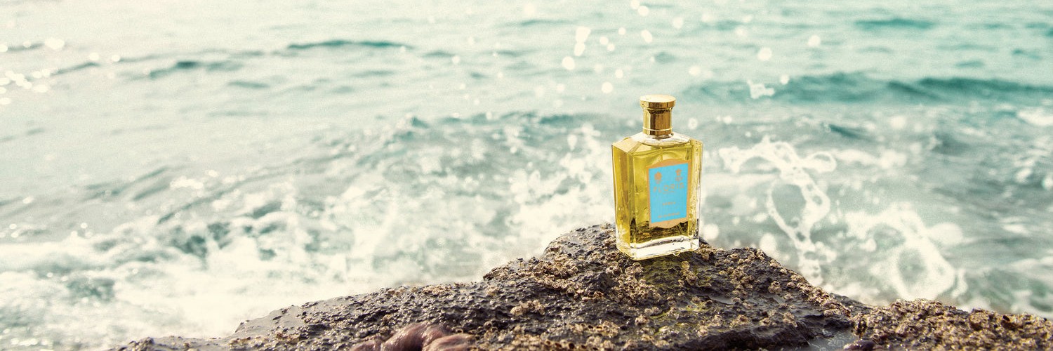 عطر تابستانی: راهنمای انتخاب و معرفی بهترین‌ها
