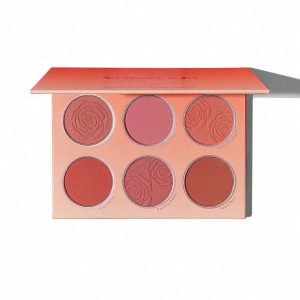 پالت رژگونه Floral flush شیگلم مدل SHEGLAM – Multicolor