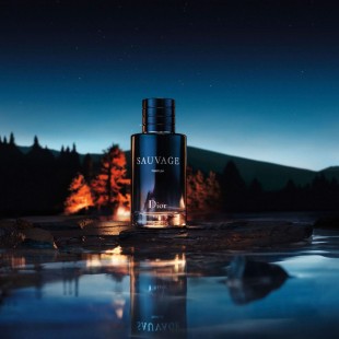 Dior Sauvage Parfum دیور ساوج پارفوم