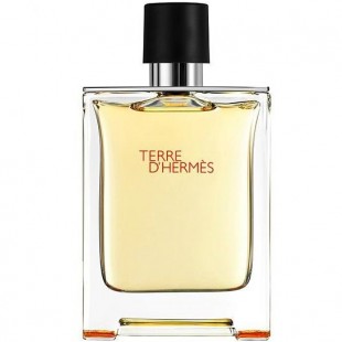 تق هرمس ادو تویلت -Terre d’Hermes EDT