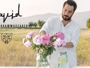 قیمت عطر نوید محمد زاده با رایحه ملایم و تلخ چند؟!
