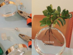 استفاده از بطری عطر خالی