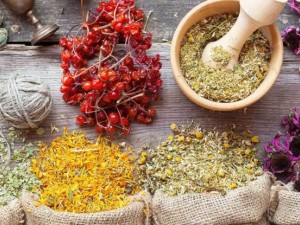 تاریخچه شگفت انگیز عطر