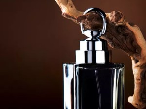 یادداشت یک عطرساز: چگونه رایحه های چوبی ایجاد می شود