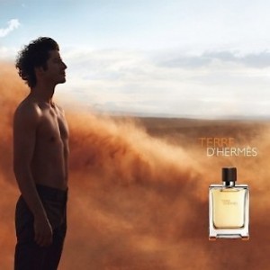 Terre d’Hermes Perfume تق هرمس پرفیوم