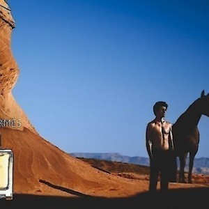 Terre d’Hermes Perfume تق هرمس پرفیوم