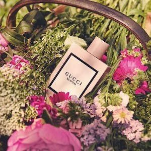 Gucci Bloom گوچی بلوم