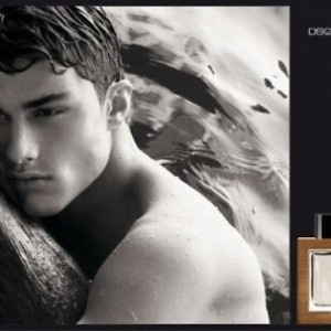 Dsquared2 He Wood دیسکوارد هی وود