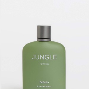 عطر مردانه  دیفکتو جانگل 100 میلی لیتر - Defecto Jungle