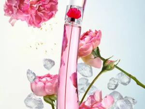 7 عطر برتر زنانه برای تابستان 2022