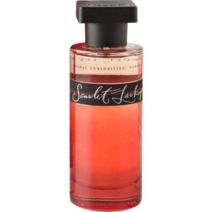 اینه که اسکارلت لارکسپور INeKE - Scarlet Larkspur